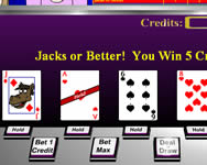 Casino critters video poker online